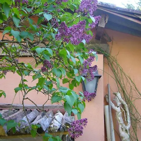 La Maison De Melen מוסטיה-סן-מארי